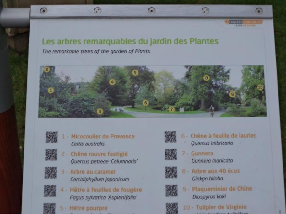 La Bergerie Centre Appartamento